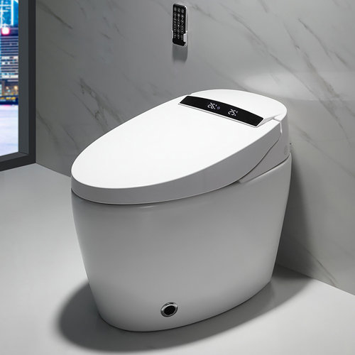 Smart Bidet Toilet DualFlush Elongated Toilet Bidet Wayfair